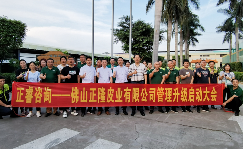 助力皮革行業(yè)再樹(shù)標(biāo)桿——正隆皮業(yè)全面管理升級(jí)項(xiàng)目啟動(dòng)！