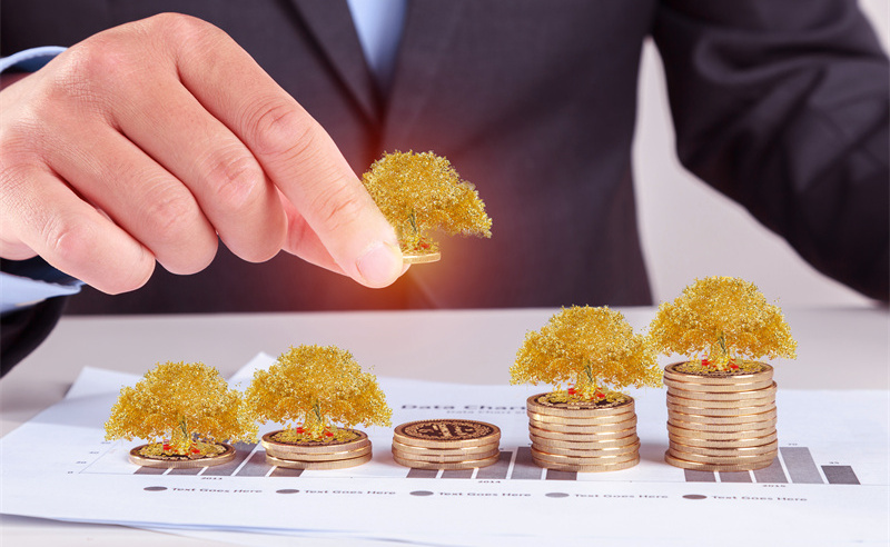 業(yè)績(jī)管理與績(jī)效評(píng)估、薪酬管理和職業(yè)發(fā)展之間的關(guān)系