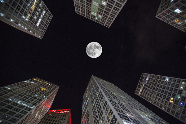 「營(yíng)銷管理咨詢」解鎖社交媒體的力量，讓品牌騰飛！