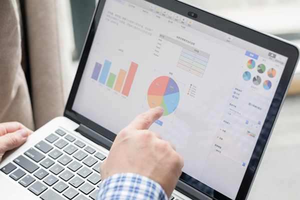 預(yù)算控制咨詢：協(xié)助企業(yè)建立控制體系，確保預(yù)算執(zhí)行