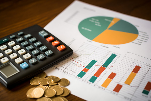 強(qiáng)化集團(tuán)管控：財(cái)務(wù)，人力資源，信息技術(shù)的整合