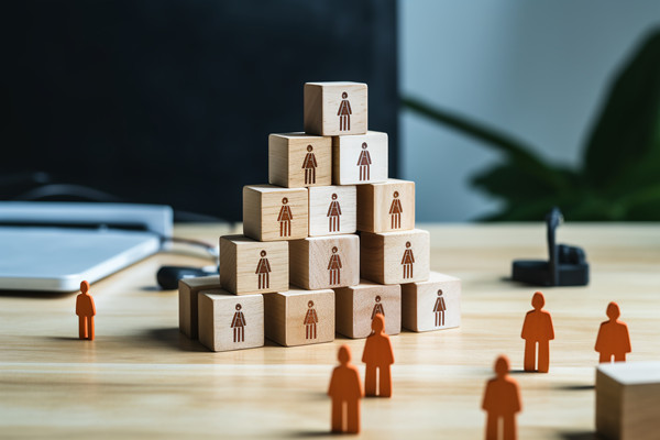 強(qiáng)化集團(tuán)管控：財(cái)務(wù)，人力資源，信息技術(shù)的整合