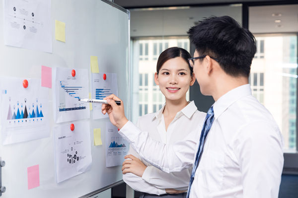 組織咨詢：協(xié)助企業(yè)制定組織發(fā)展戰(zhàn)略，推動組織成長