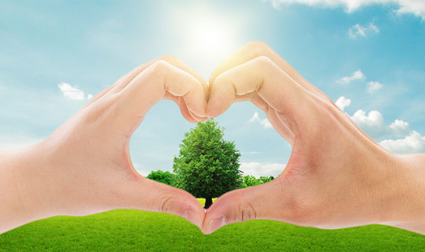 年度可持續(xù)發(fā)展計劃：綠色發(fā)展，共享價值