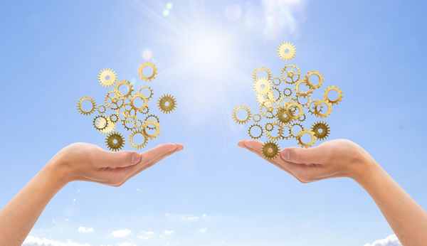 多品牌戰(zhàn)略：協(xié)同作戰(zhàn)，共創(chuàng)輝煌