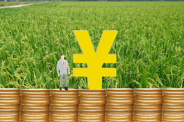 如何根據(jù)市場(chǎng)環(huán)境調(diào)整薪酬策略：最大化企業(yè)競爭力