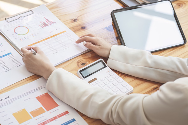 年度風(fēng)險(xiǎn)防控計(jì)劃：風(fēng)險(xiǎn)防范，穩(wěn)健前行