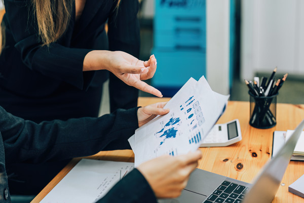 企業(yè)預(yù)算管理：打造財(cái)務(wù)穩(wěn)健，引領(lǐng)企業(yè)騰飛新篇章