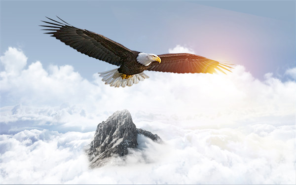 組織規(guī)劃引領(lǐng)企業(yè)變革，塑造全新管理模式與未來