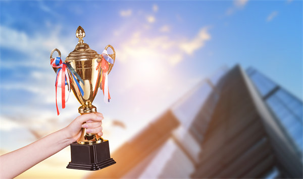 優(yōu)化人力資源配置，推動企業(yè)持續(xù)發(fā)展與變革