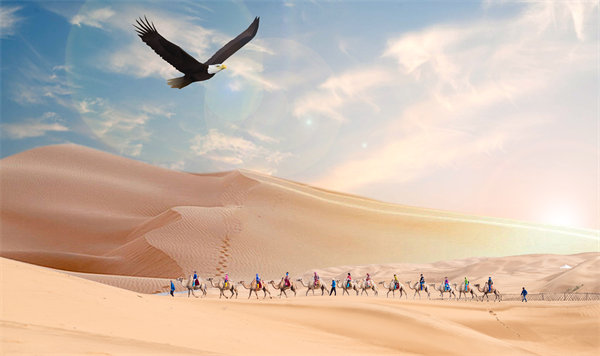 集團(tuán)管控升級(jí)迭代，激發(fā)企業(yè)活力，實(shí)現(xiàn)持續(xù)領(lǐng)先