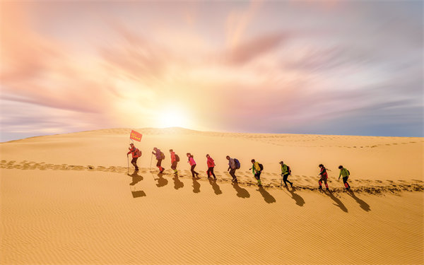 風(fēng)險防范：構(gòu)建全面風(fēng)險管理體系，保障企業(yè)穩(wěn)健發(fā)展