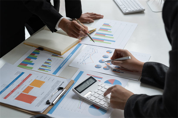 預(yù)算管理策略：優(yōu)化資源配置，提升企業(yè)財務(wù)效能