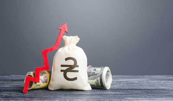 預(yù)算管理中的風(fēng)險(xiǎn)評(píng)估與應(yīng)對(duì)策略有哪些？