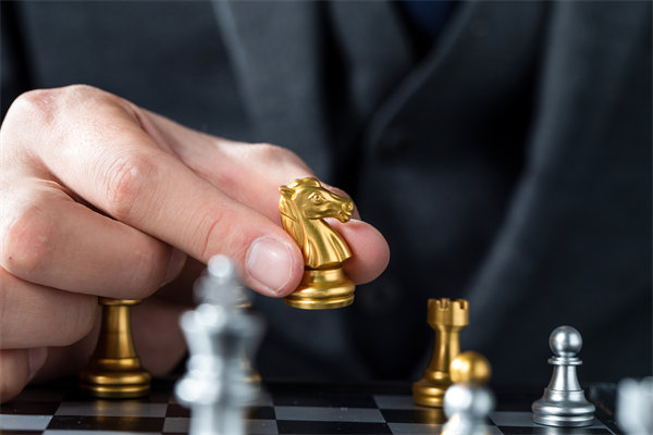 戰(zhàn)略咨詢，揭秘成功密碼，引領企業(yè)從優(yōu)秀走向卓越