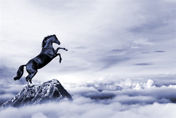 深度整合企業(yè)戰(zhàn)略資源，構(gòu)建高效運(yùn)營(yíng)管理體系