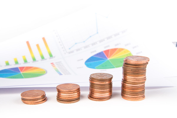 靈活預(yù)算管理：如何在不確定環(huán)境中保持財(cái)務(wù)穩(wěn)健？