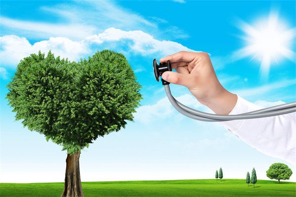 員工福利設(shè)計(jì)新思維：如何平衡成本效益與員工滿意度？