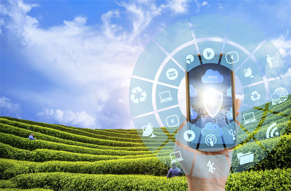 在精益轉(zhuǎn)型中，如何平衡標(biāo)準(zhǔn)化作業(yè)與靈活性需求？