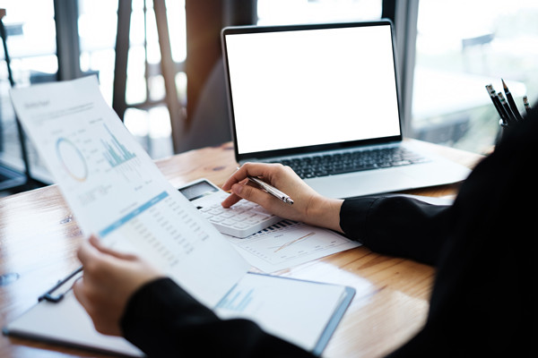 預算監(jiān)控與調(diào)整機制如何建立，確保預算執(zhí)行到位？