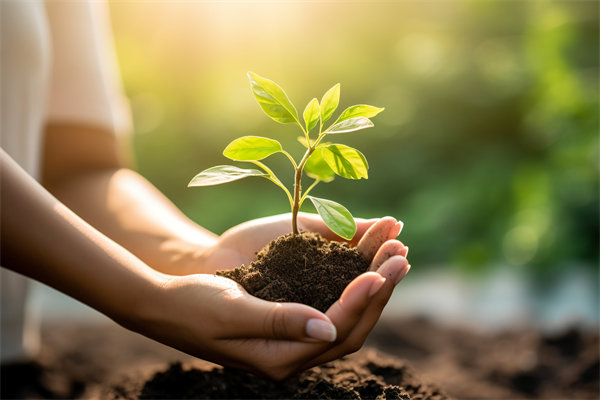 可持續(xù)發(fā)展成為趨勢，企業(yè)如何融入綠色戰(zhàn)略以促增長？