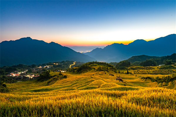 定制化管理咨詢(xún)方案：麗水企業(yè)轉(zhuǎn)型升級(jí)的鑰匙？