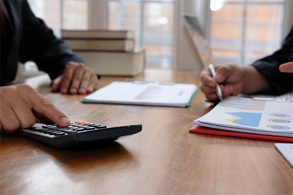 預(yù)算管理系統(tǒng)中，如何平衡自動(dòng)化與人工審核的利弊？