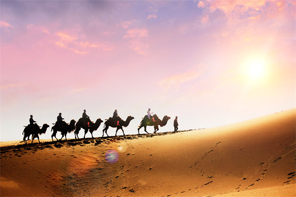 企業(yè)文化在人力資源管理中，扮演著怎樣的角色？