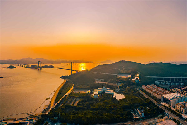 東莞供應(yīng)鏈咨詢公司如何優(yōu)化企業(yè)供應(yīng)鏈流程？