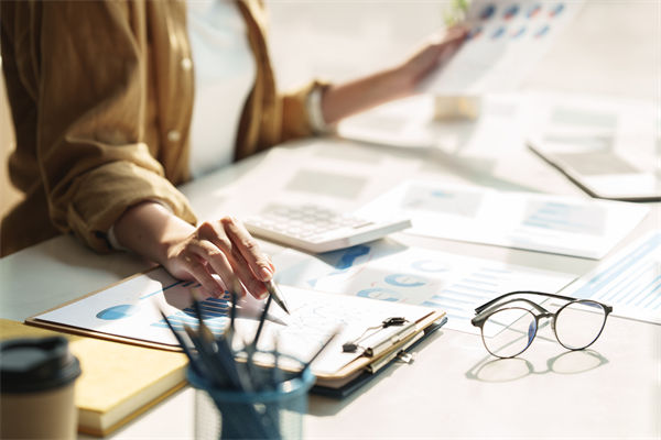 在預(yù)算執(zhí)行中，如何確保監(jiān)控與調(diào)整機制的有效性？