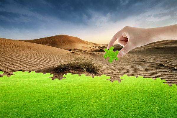 企業(yè)深陷困境，管理咨詢?nèi)绾我岳做侄未蚱瓢l(fā)展僵局？