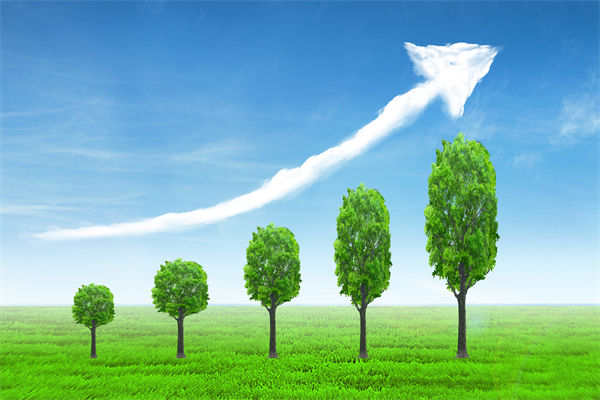 植樹(shù)就是植未來(lái)，對(duì)企業(yè)的戰(zhàn)略規(guī)劃有哪些啟示？