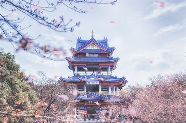 供應(yīng)鏈成本居高不下，無(wú)錫供應(yīng)鏈咨詢公司如何精準(zhǔn)砍出利潤(rùn)空間？