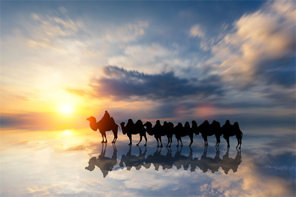 戰(zhàn)略與文化脫節(jié)，企業(yè)理念如何落地支撐發(fā)展？