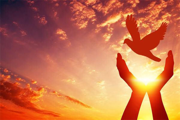 別讓盲卡盲盒“收割”孩子，關(guān)聯(lián)企業(yè)戰(zhàn)略怎么看？