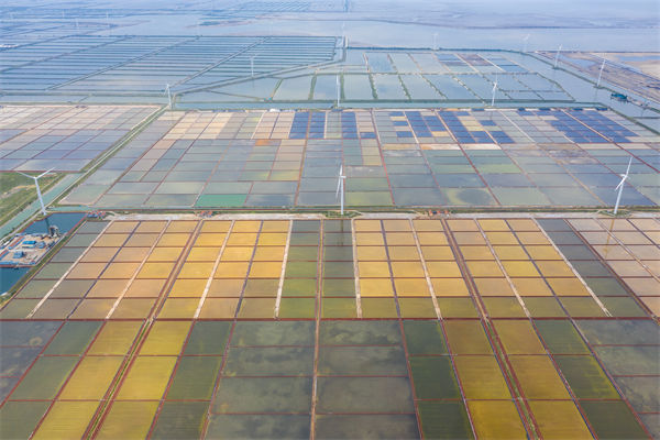 濰坊集團(tuán)子公司失控內(nèi)耗嚴(yán)重，濰坊集團(tuán)管控咨詢公司如何重構(gòu)權(quán)責(zé)體系？