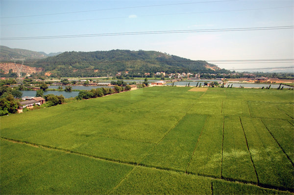 清遠(yuǎn)人力資源咨詢公司量體裁衣，如何激活企業(yè)人才發(fā)展新動能？