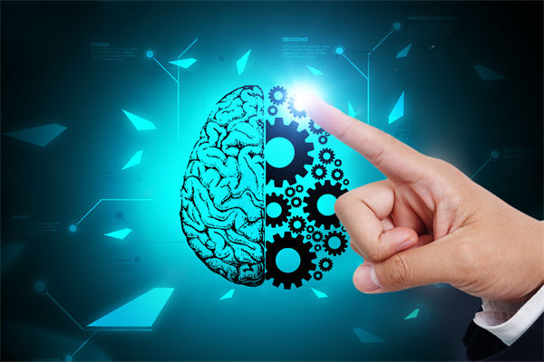 人力資源管理流程規(guī)范嚴(yán)謹(jǐn)，員工創(chuàng)造力為何反而受抑制？