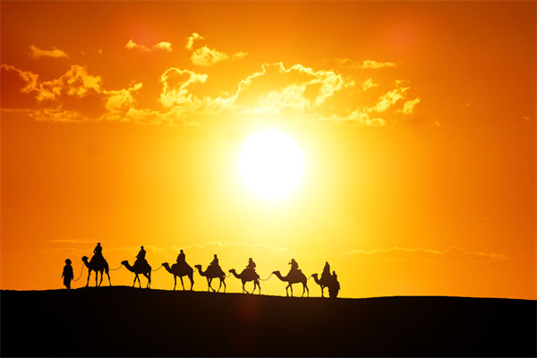 高層標榜的企業(yè)文化，如何穿透形式真正落地生根？