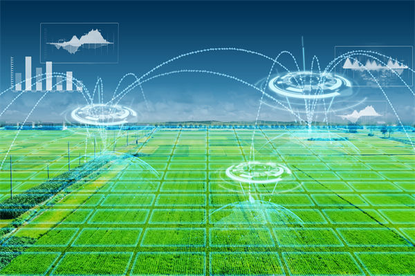 溫州種出2.1米高巨型水稻，精益生產(chǎn)怎么看？