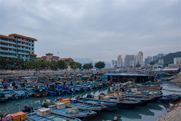 精益生產(chǎn)分析：開海第一網(wǎng)撈8000斤，船長(zhǎng)合不攏嘴