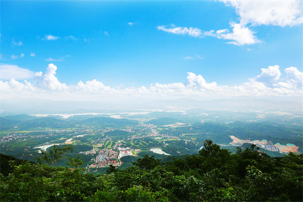 企業(yè)戰(zhàn)略飄在半空落地難，惠州戰(zhàn)略咨詢公司能錨定方向嗎？