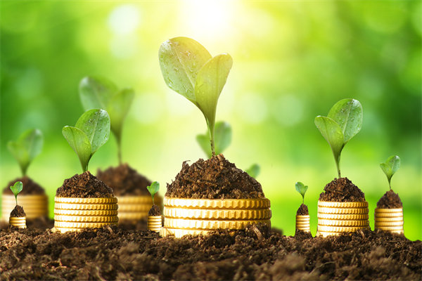 預(yù)算管理咨詢公司如何幫助企業(yè)破解資金錯(cuò)配問題？