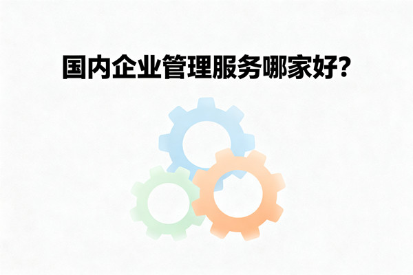 國內企業(yè)管理服務哪家好？