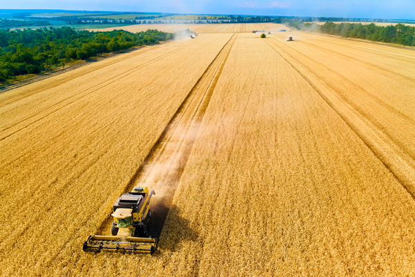 農業(yè)行業(yè)供應鏈管理咨詢公司推薦，能解農資采購成本高問題嗎？