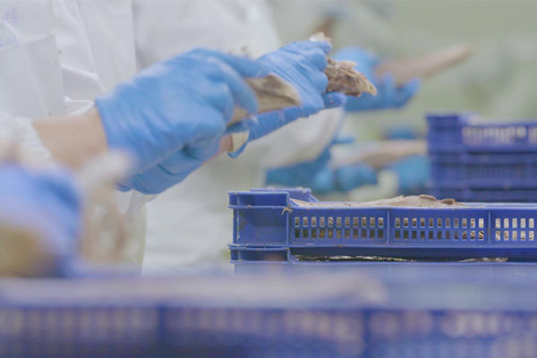 本土駐廠精益生產(chǎn)咨詢哪家強(qiáng)，能快速提升產(chǎn)線流轉(zhuǎn)效率么？