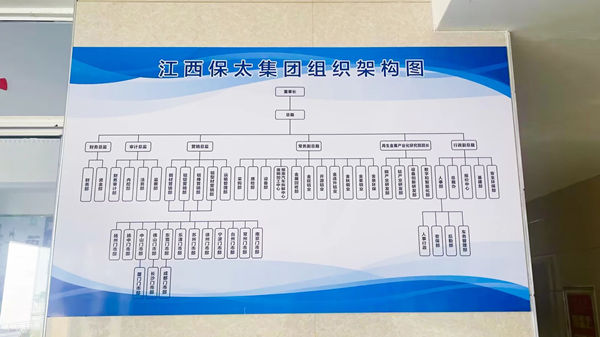 江西保太集團(tuán)組織架構(gòu)圖
